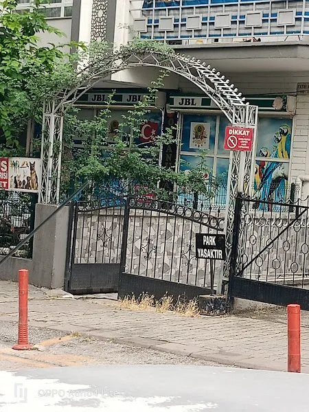 Okyanus Akvaryum Pet Store foto 1