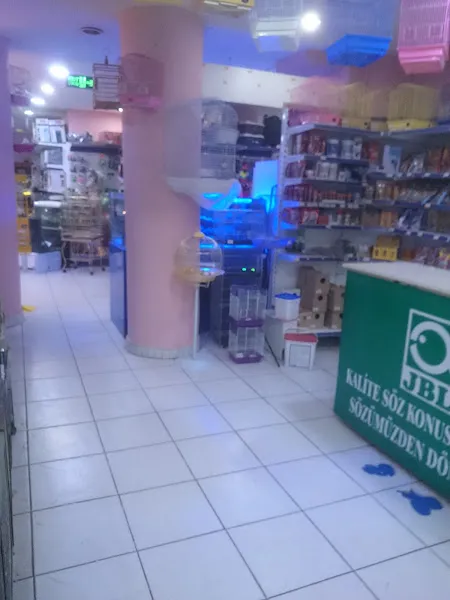 Elit Petshop İstiklal Şubesi foto 2