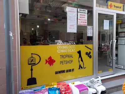 Gölcük Tropikal Akvaryum - Petshop