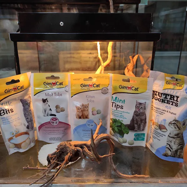 Gölcük Tropikal Akvaryum - Petshop foto 2