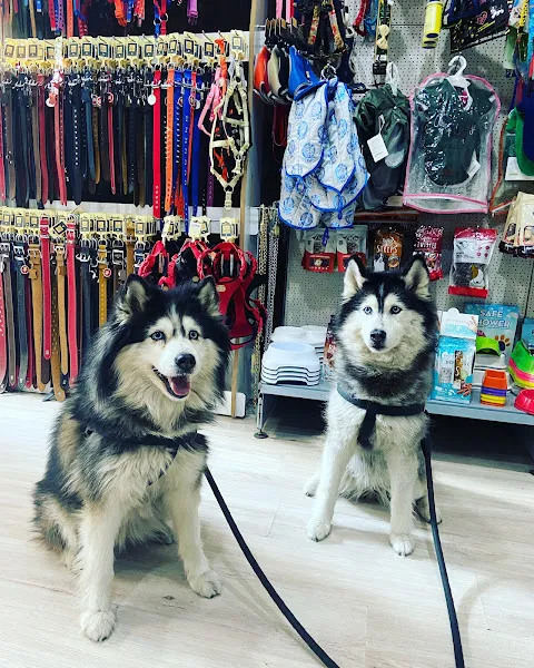 Orion Pet Veteriner Kliniği foto 2
