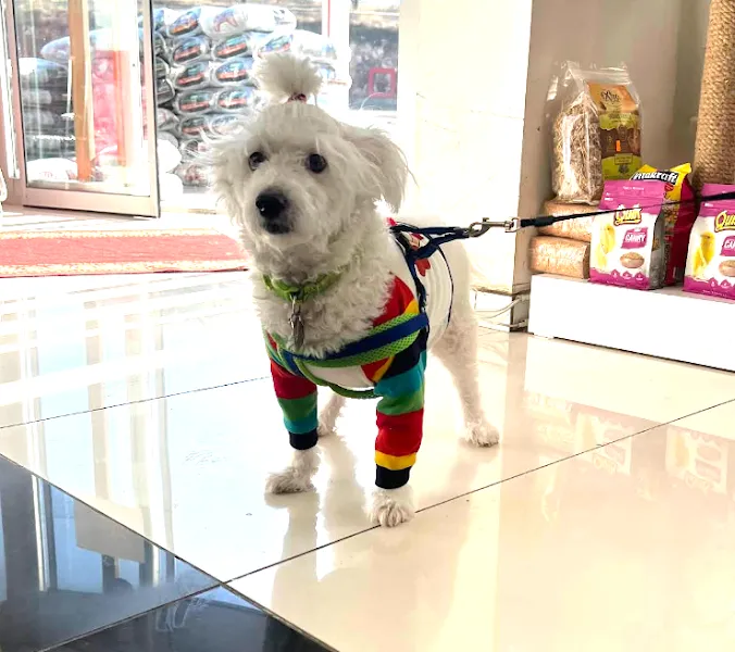 Sempati Veteriner Kliniği foto 2