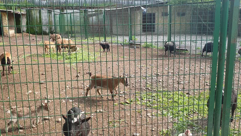 Gökçebey Çanakcılar Hayvanat Bahçesi foto 1