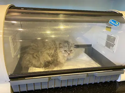 Pet Point Tuğba Veteriner Kliniği