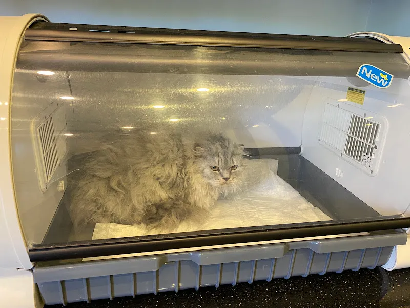 Pet Point Tuğba Veteriner Kliniği foto 1