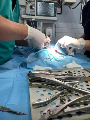 Veteriner Sağlık Merkezi