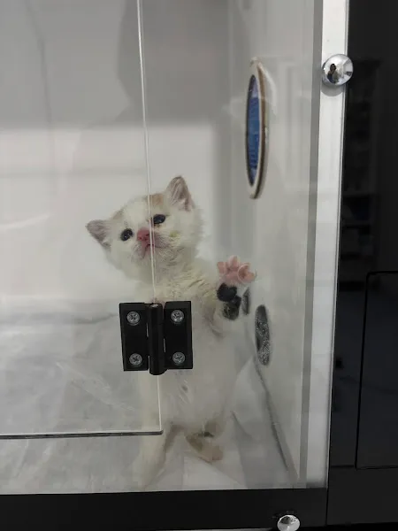 Vetplus Veteriner Kliniği Ereğli foto 2