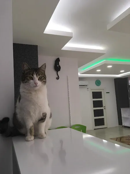 Antalya Veteriner Kliniği foto 2