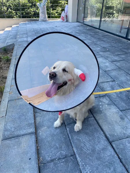 Bilim Veteriner Kliniği foto 2