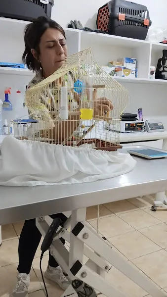 Çiftlik Veteriner Kliniği foto 2