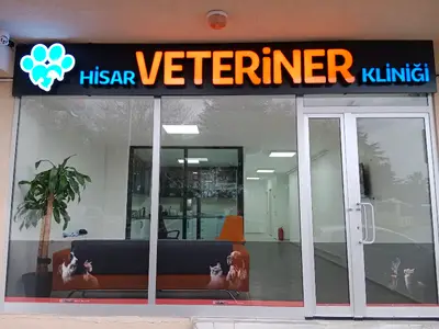 Hisar Veteriner Kliniği