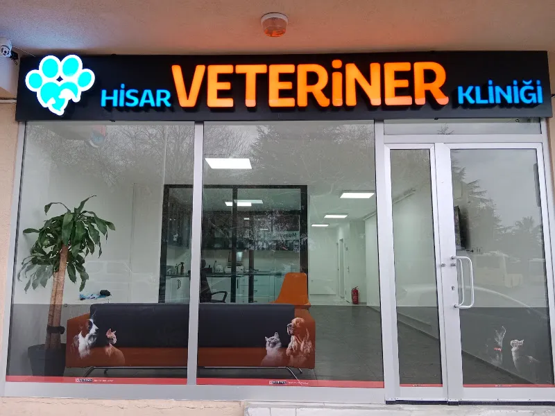 Hisar Veteriner Kliniği foto 1