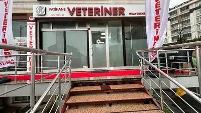 Patihane Veteriner Kliniği / Beylikdüzü 7/24 Veteriner Kliniği / Arayıp Randevu Alınız / Büyükçekmece 7/24 Veteriner Kliniği