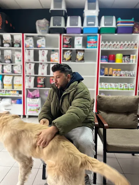 Kuzkaya Veteriner Kliniği foto 2