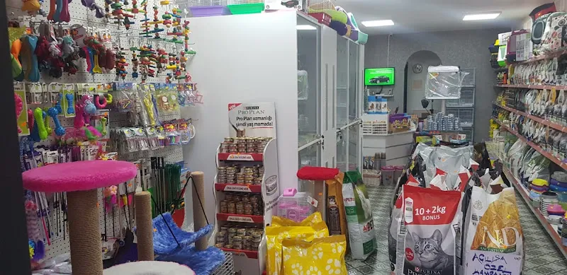 Noş Noş Petshop Yenimahalle foto 2