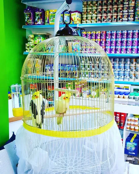 Yaren Pet Shop Alo Mama Hattı foto 2