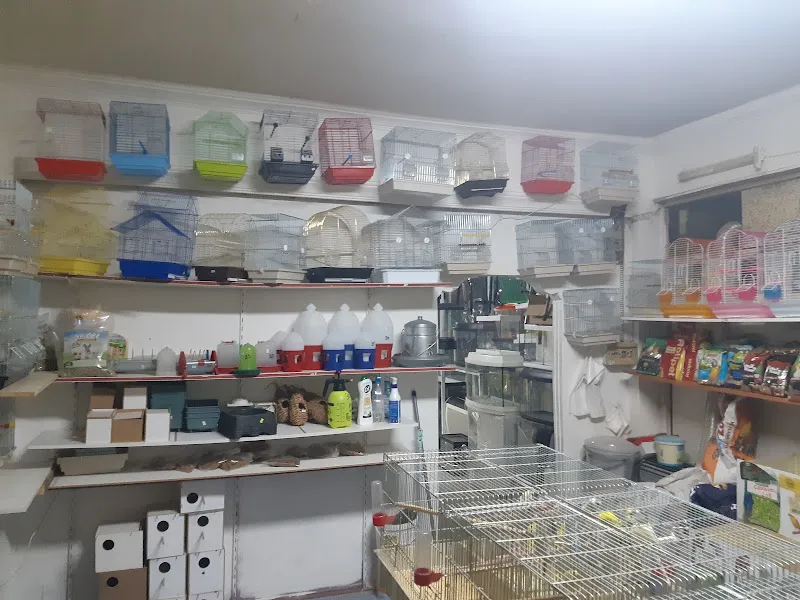 UĞURLU PET SHOP foto 2