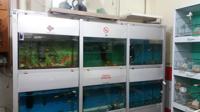 Berke Petshop foto 2