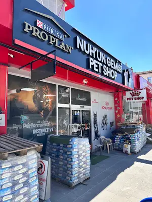 Nuhun GEMİSİ petshop