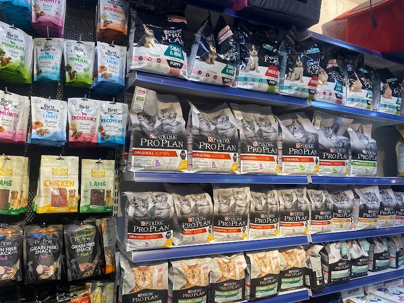 Kültür Petshop Güzelyurt foto 2
