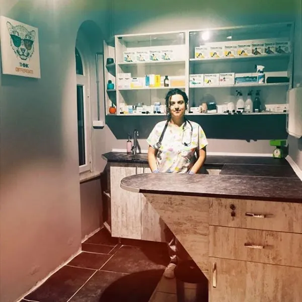 Taksim Veteriner Kliniği foto 2