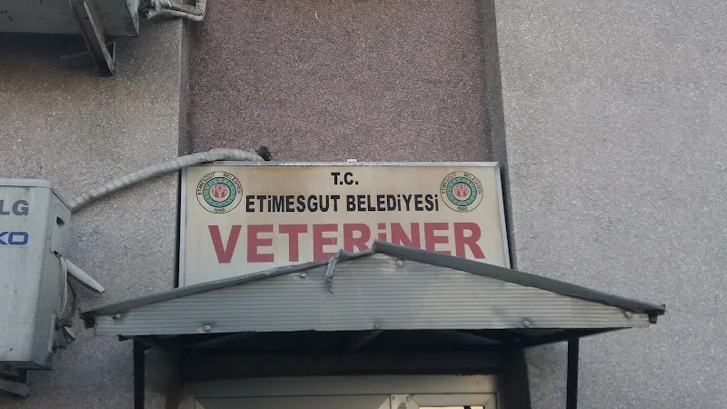Etimesgut Belediyesi Veteriner İşleri Müdürlüğü foto 1