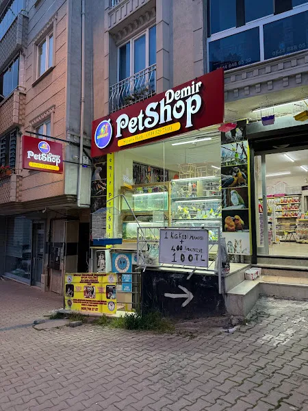 DEMİR PETSHOP AKVARYUM foto 1