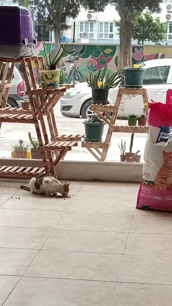 Peker PetShop foto 2