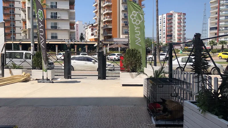 Yuva Veteriner Sağlık Merkezi foto 1
