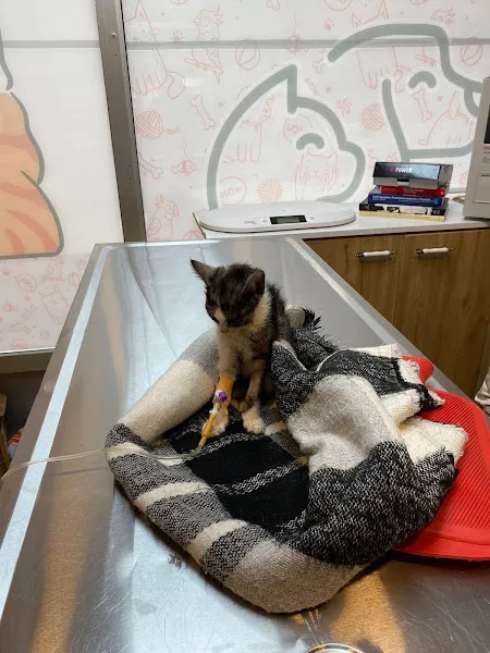 Ereğli Peter Veteriner Kliniği foto 2