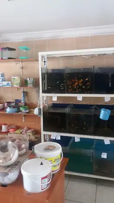 Çeceli Petshop