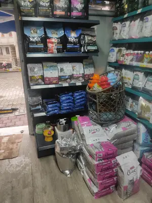 7/24 Setaş Petshop Fatih