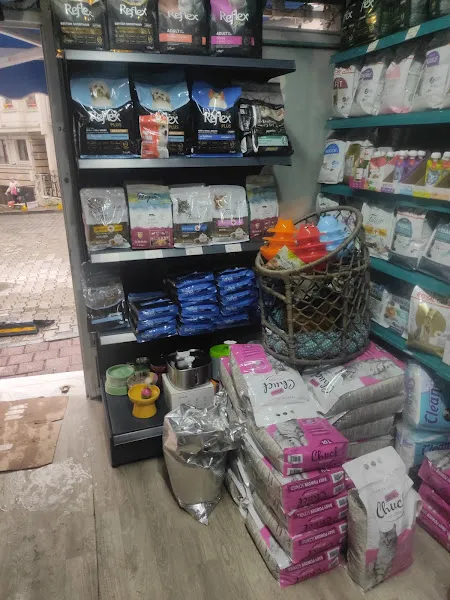 7/24 Setaş Petshop Fatih foto 1