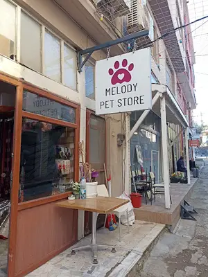 Melody Pet store