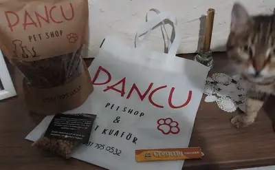 Pancu Pet Shop & Pet Kuaför