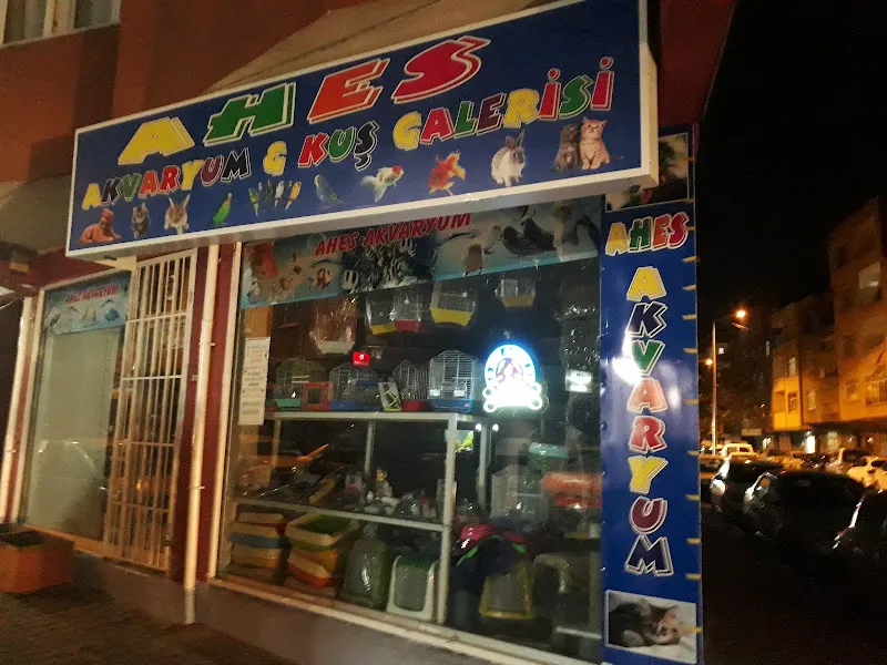 Ahes Akvaryum Ve Kuş Galerisi foto 2