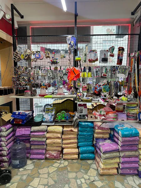 Karaca Petshop Yılmaz Gümüş foto 2