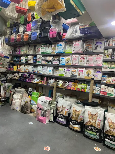Şampiyon Pet Evcil Hayvan Ürünleri foto 2