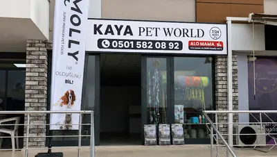 KAYA PET WORLD