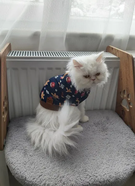 Safran Pet Life foto 1