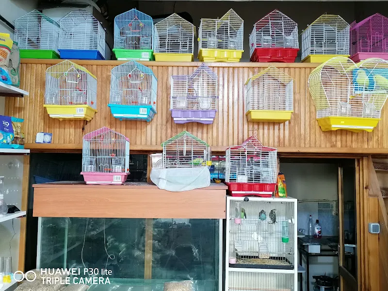 Mk Pet Shop foto 2