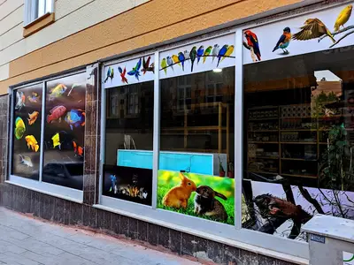 Bayburt Akvaryum Petshop