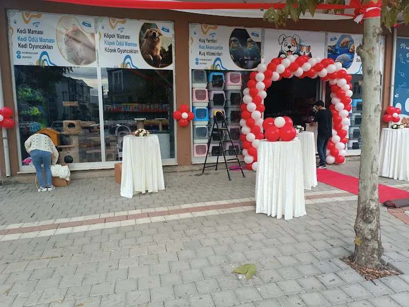 Poyraz Pet foto 1
