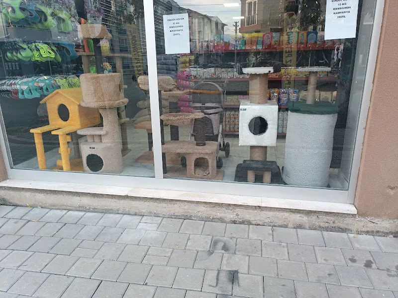 Poyraz Pet foto 2