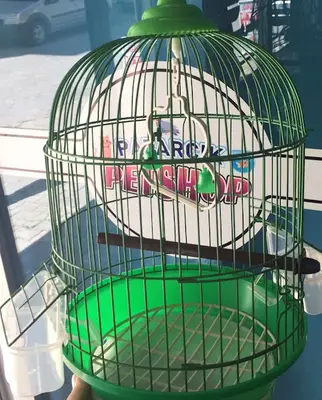 PAZARCIK PETSHOP & AKVARYUM