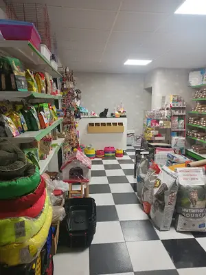 PATİSYA PETSHOP