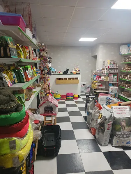 PATİSYA PETSHOP foto 1