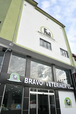 Bravo Veteriner Kliniği