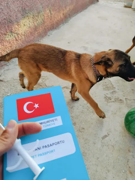 ASEM VETERİNER KLİNİĞİ foto 2