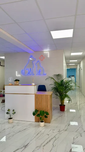 Primer Veteriner Kliniği foto 2